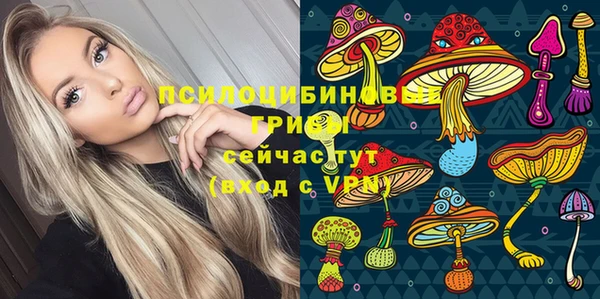 прущая мука Абаза