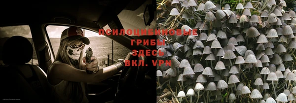 прущая мука Абаза