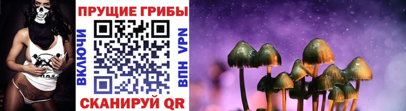 Псилоцибиновые грибы Cubensis  Искитим 