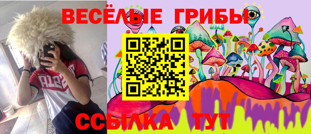 Галлюциногенные грибы Magic Shrooms  наркошоп  Искитим  Вход с VPN 