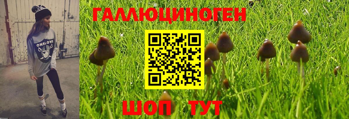 Галлюциногенные грибы мицелий Искитим
